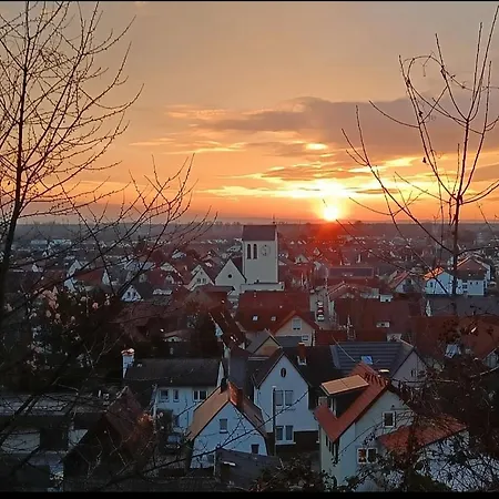 Direkt Am Wald Mit Panoramablick Bis Zur Pfalz