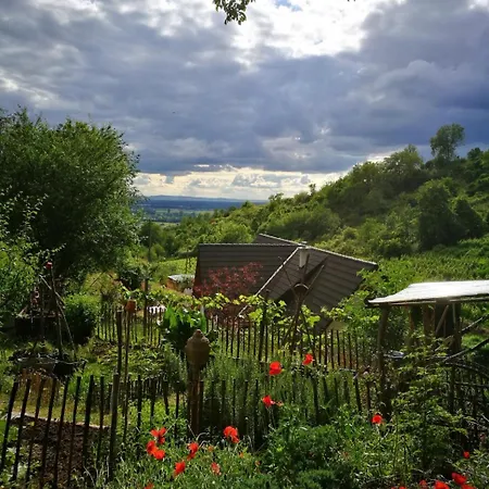 Direkt Am Wald Mit Panoramablick Bis Zur Pfalz 아파트 *