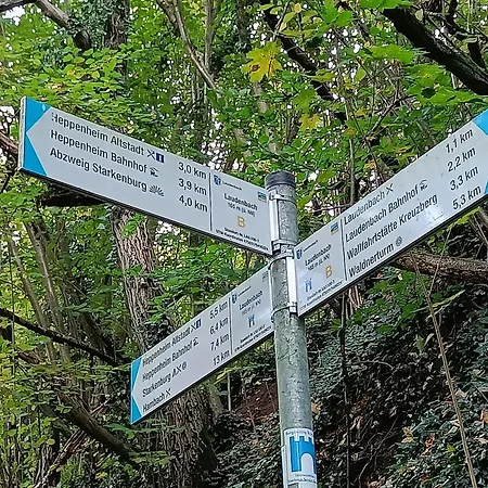 Direkt Am Wald Mit Panoramablick Bis Zur Pfalz Lägenhet *