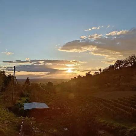 Lägenhet Direkt Am Wald Mit Panoramablick Bis Zur Pfalz *