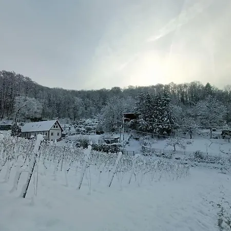 Direkt Am Wald Mit Panoramablick Bis Zur Pfalz * Laudenbach (Rhein-Neckar)