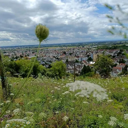 Lägenhet Direkt Am Wald Mit Panoramablick Bis Zur Pfalz *